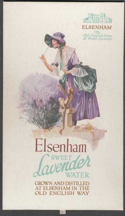 Elsenham Lavender by Wilfred Fryer