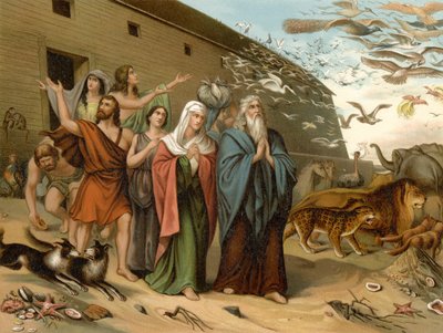 Coming Out of the Ark by Wilhelm Ebbinghaus