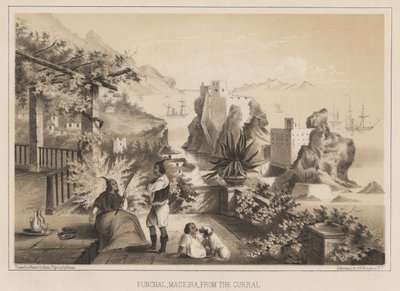 Funchal, Madeira, from the Curral by Wilhelm Joseph Heine