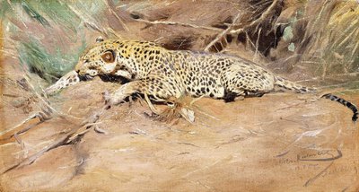 A Leopard by Wilhelm Kuhnert