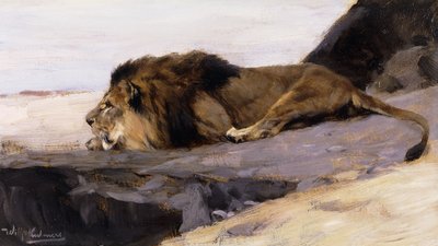 A Resting Lion by Wilhelm Kuhnert