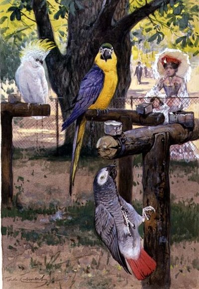 At the Zoo by Wilhelm Kuhnert