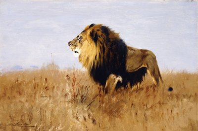 Lion Watching for Prey by Wilhelm Kuhnert