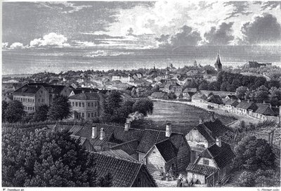View of Dorpat by Wilhelm Siegfried Stavenhagen