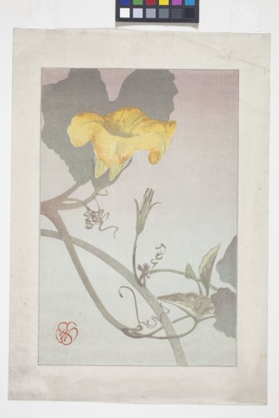 Flower Study by Wilhelmina Seegmiller