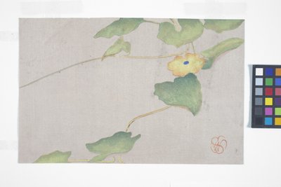 Flower Study, c.1908 by Wilhelmina Seegmiller