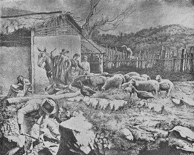 Sitio, 1895 by Wille Reichardt