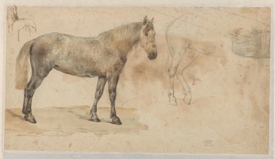 Studies of a Horse by Willem Carel Nakken