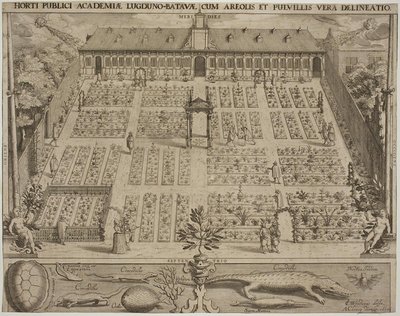 The Botanical Garden in Leiden by Willem Isaaksz Swanenburgh