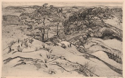 Dune Landscape by Willem Jansen (graveur) (signed by artist)