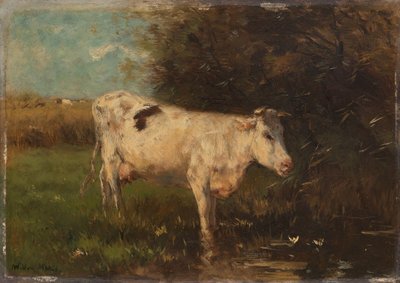 White Cow by Willem Maris