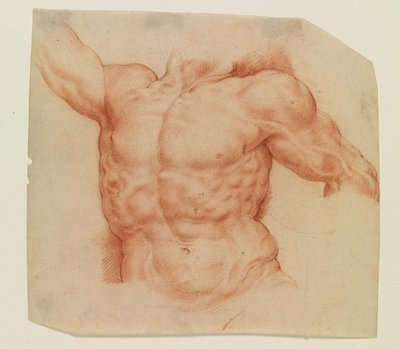 Front View of Laocoon’s Torso by Willem Panneels