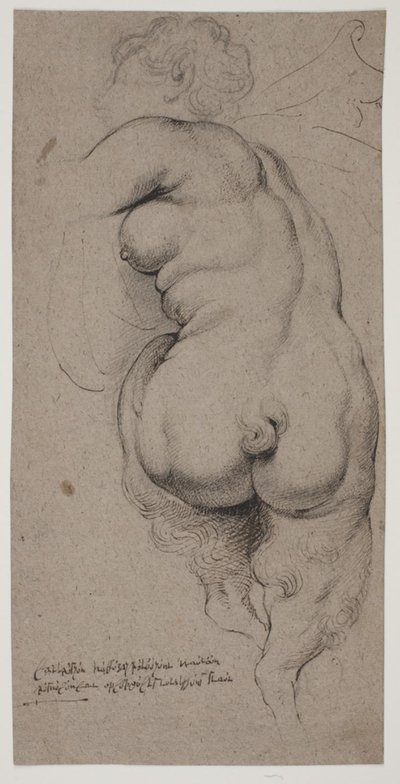 Female Faun, Seen from Behind by Willem Panneels