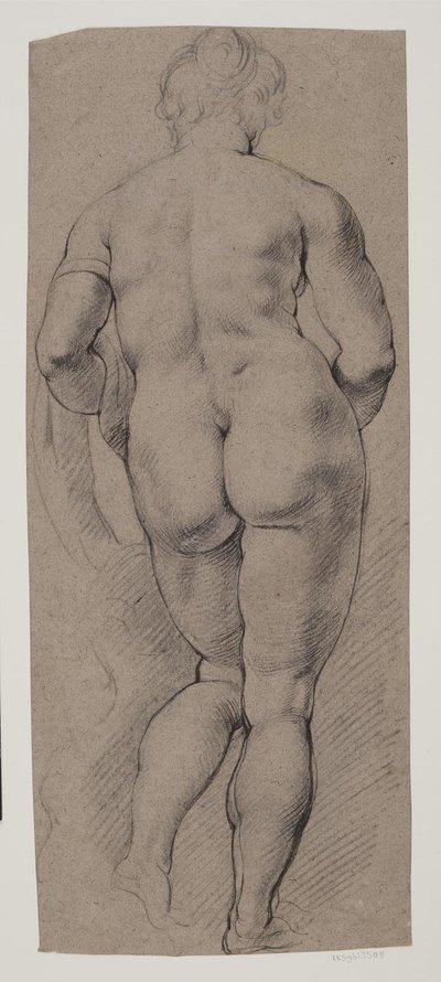 Standing Female Nude Seen from the Back by Willem Panneels