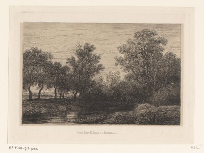 Stream by Willem Roelofs (I)
