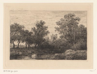 Brook by Willem Roelofs (I)