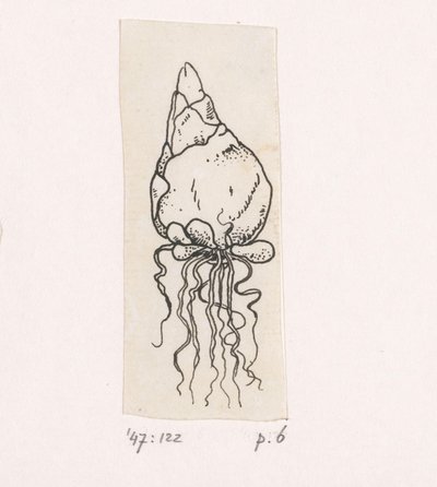 Flower Bulb by Willem Wenckebach