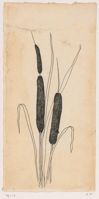 Bulrushes by Willem Wenckebach