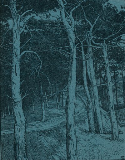 Woodland by Willem Wenckebach