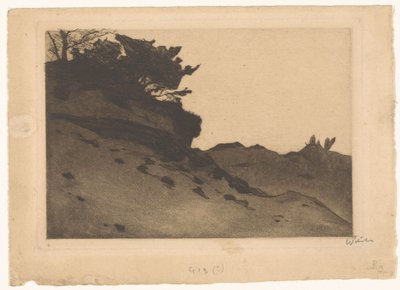 Bushes on a Sand Dune by Willem Witsen (signed by artist)