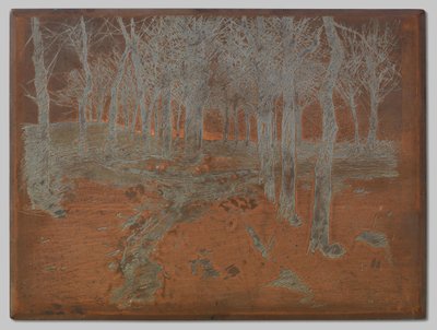 Forest in Ewijkshoeve by Willem Arnoldus Witsen