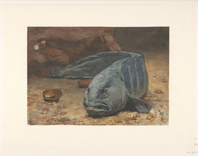 Wolf Fish at the Bottom of an Aquarium by Willem Arnoldus Witsen
