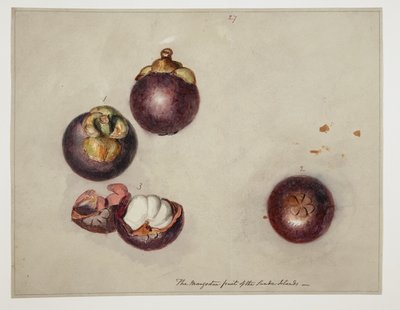 WD 961 f.27 by William Alexander