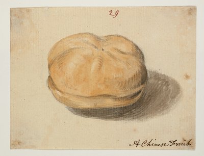 WD 961 f.29 by William Alexander