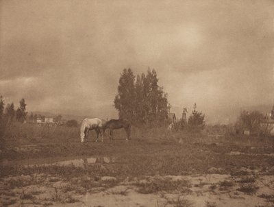 Pasadena Landscape by William B Post