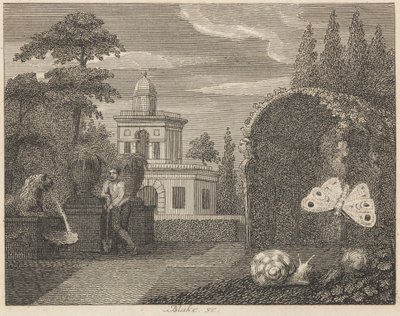 The Butterfly and the Snail by William Blake