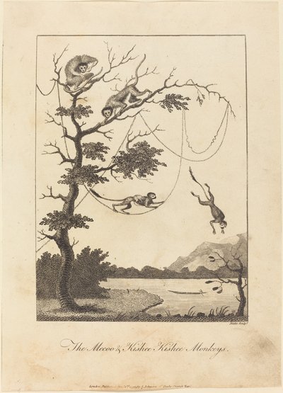 The Mecoo & Kisbee Kishee Monkeys by William Blake