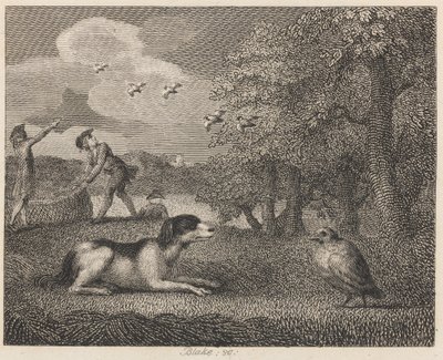 The Setting-dog and the Partridge by William Blake