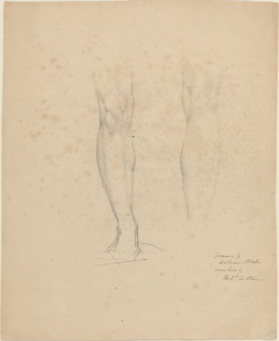 Two Legs by William Blake
