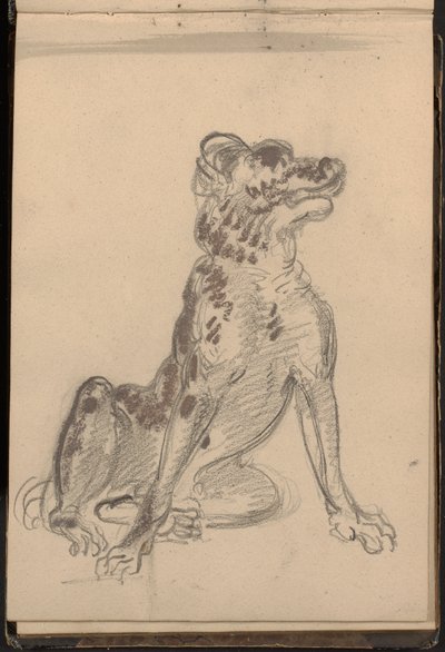 Portrait of a Dog by William Brockedon