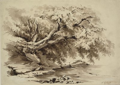 Landscape with Trees Overhanging a Lake by William Collingwood Smith