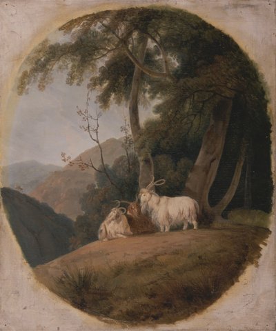 Kashmir Goats by William Daniell