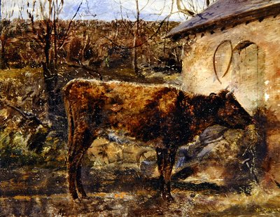 A Calf by William Davis