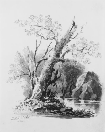 Forest Grove by William Guy Wall