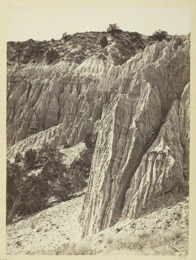 Rain Sculpture, Salt Creek Canyon, Utah by William H. Bell