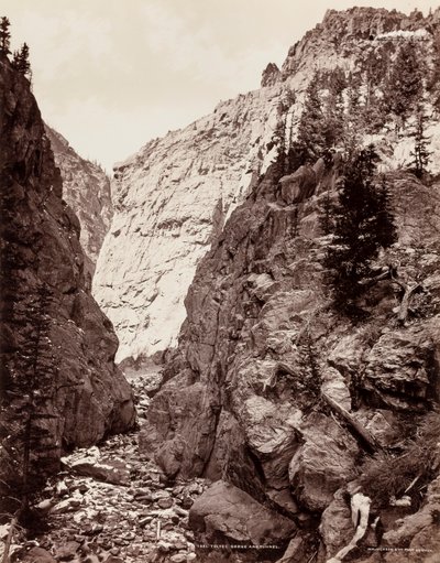 Toltec Gorge and Tunnel (1021) by William H. Jackson