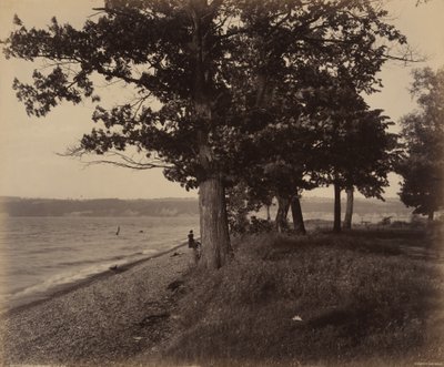 Cayuga Lake, Sheldrake by William H. Rau