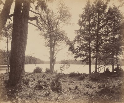 Ganoga Lake by William H. Rau
