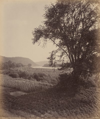Picturesque Susquehanna, Near Laceyville by William H. Rau