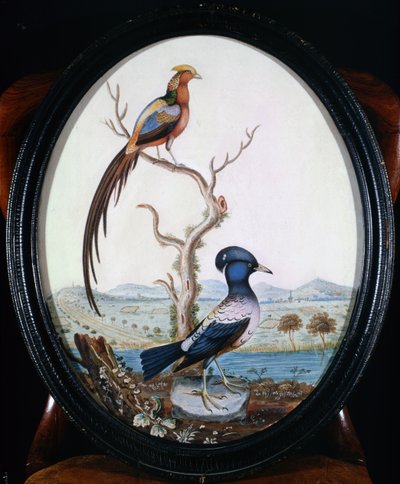 Golden Pheasant and Jay by William Hayes