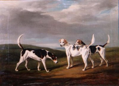 Foxhounds in a Landscape by William Henry Davis