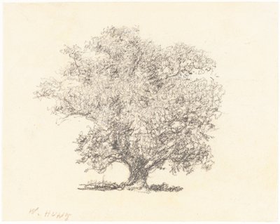A Tree in Full-Leaf by William Henry Hunt