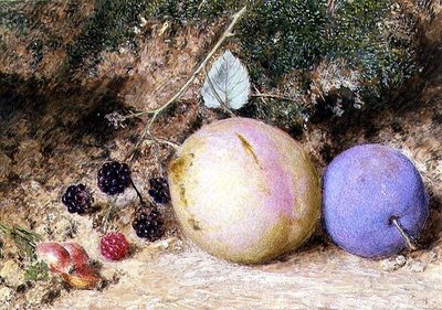 Rosehips, Blackberries and Plums by William Henry Hunt