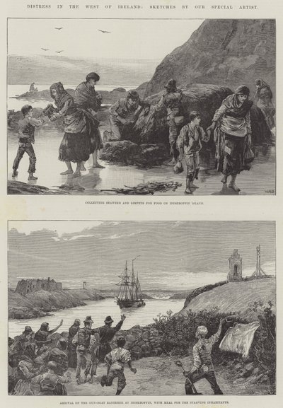 Distress in the West of Ireland by William Heysham Overend