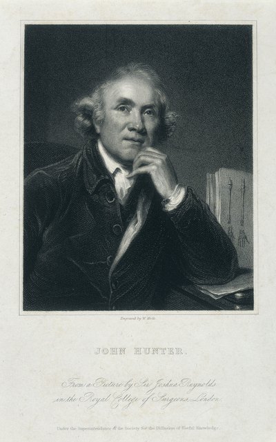 John Hunter, FRS, c1850-c1870 by William Holl
