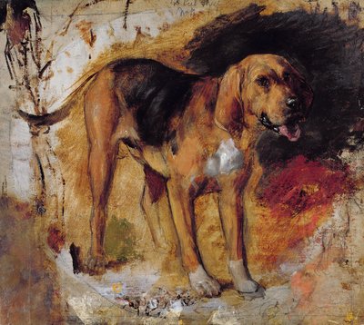 A Study of a Bloodhound by William Holman Hunt